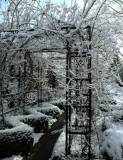 Winter im Garten 1