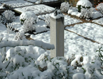 Winter im Garten 2