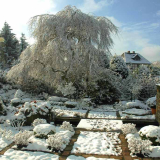 Winter im Garten 3