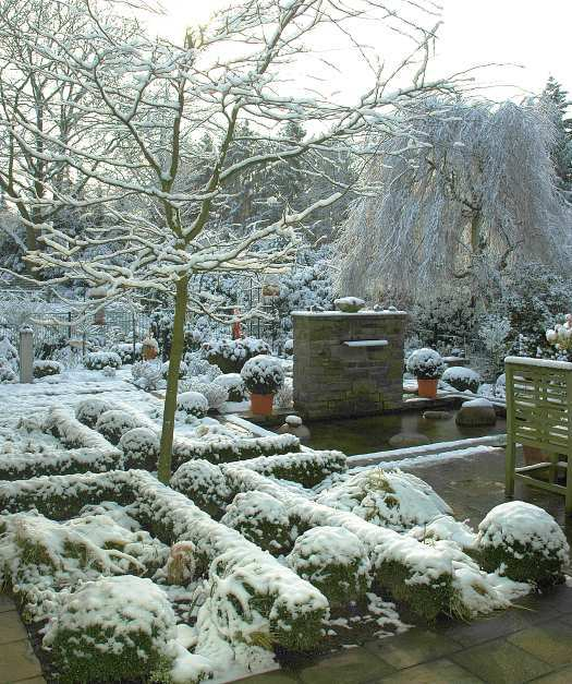 Winter im Garten 4