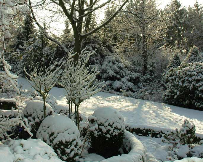 Winter im Garten 5