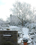 Winter im Garten 6