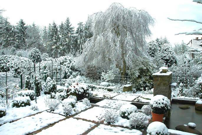 Winter im Garten 7