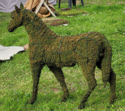 02 Schoppenwihr Grünpferd