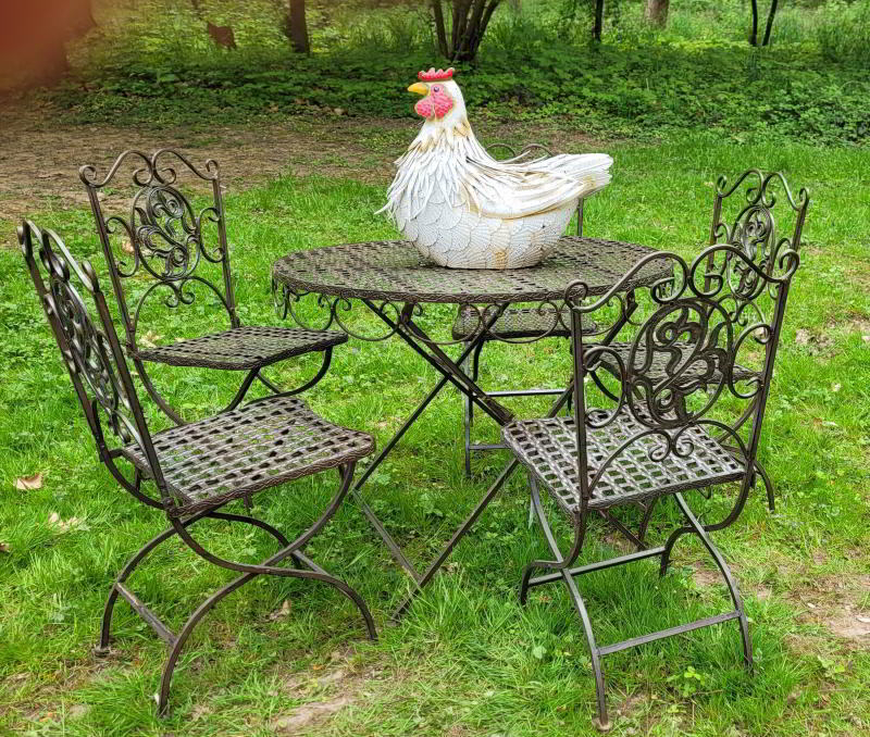 05 Schoppenwihr Blechhuhn