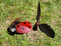 10 Schoppenwihr Marienkäfer-Propeller
