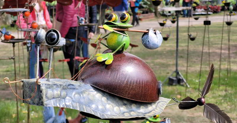 11 Schoppenwihr Schneckenfrosch
