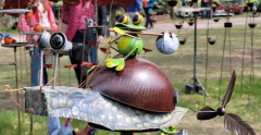 11 Schoppenwihr Schneckenfrosch