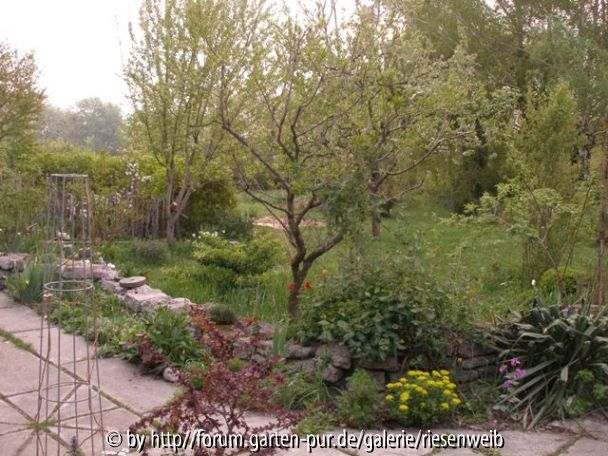 trockenmauer und terrasse 2005-04