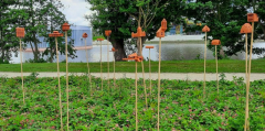 Insektenhotels