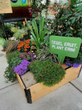 Ideeen für das niederl. Guerillagardening auf dem Bürgergsteig