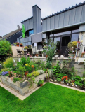 Garten hinten Ende Juni1