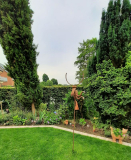 Garten hinten Ende Juni2