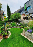 Garten Hinten Ende Juni3