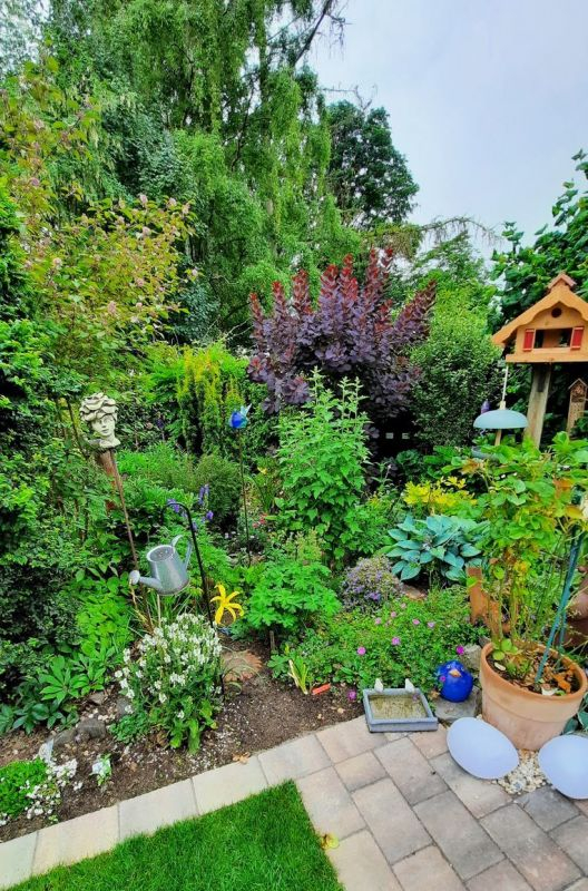 Garten hinten Ende Juni4