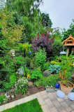Garten hinten Ende Juni4