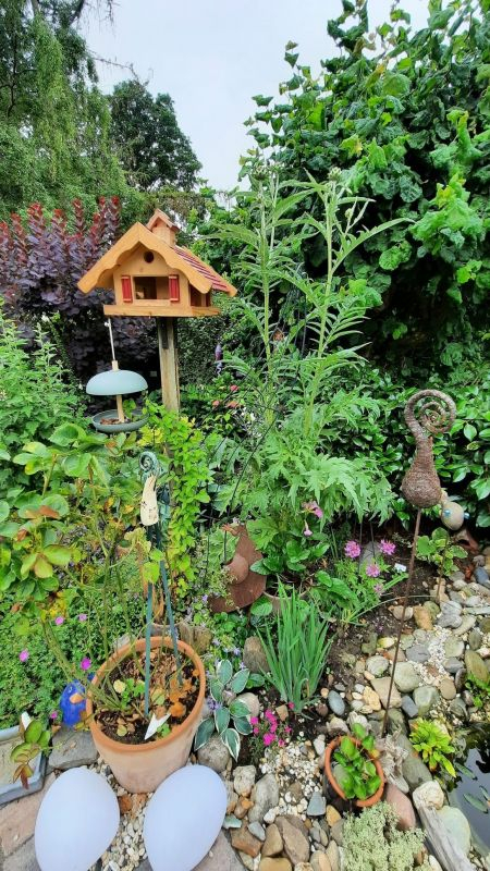 Garten hinten Ende Juni5