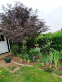 Garten ELW Ende Juni