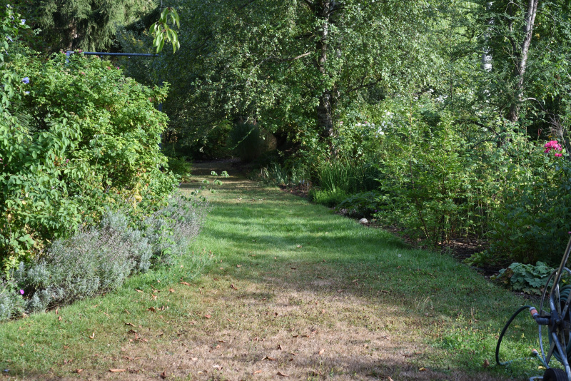 Rasenrätsel