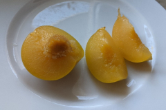 Pluot