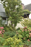 04 Vorgarten rechts