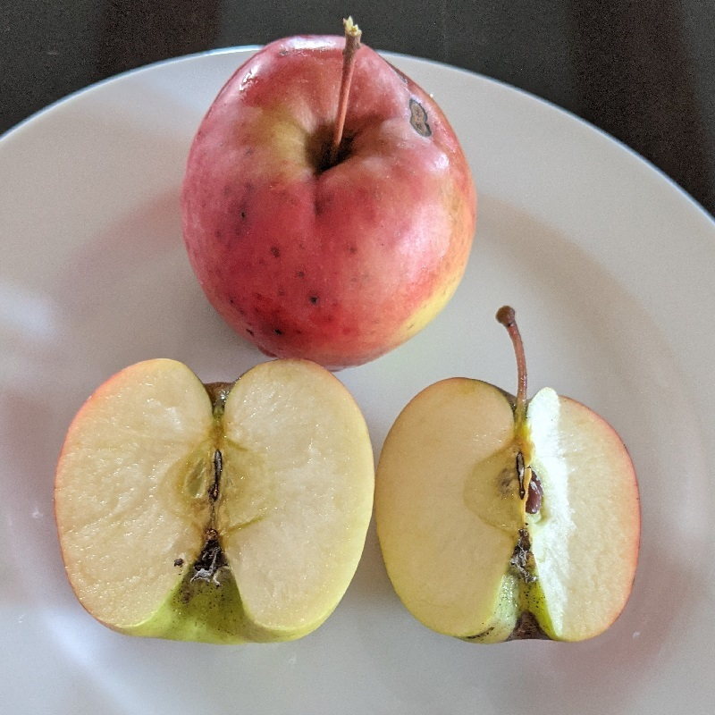 Cripps Pink