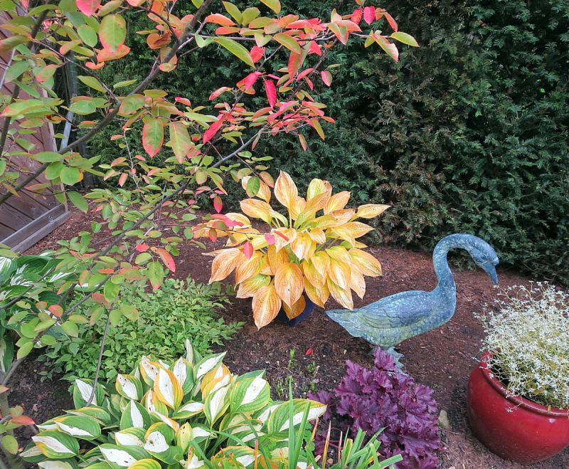 Erotica Herbst