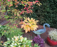 Erotica Herbst