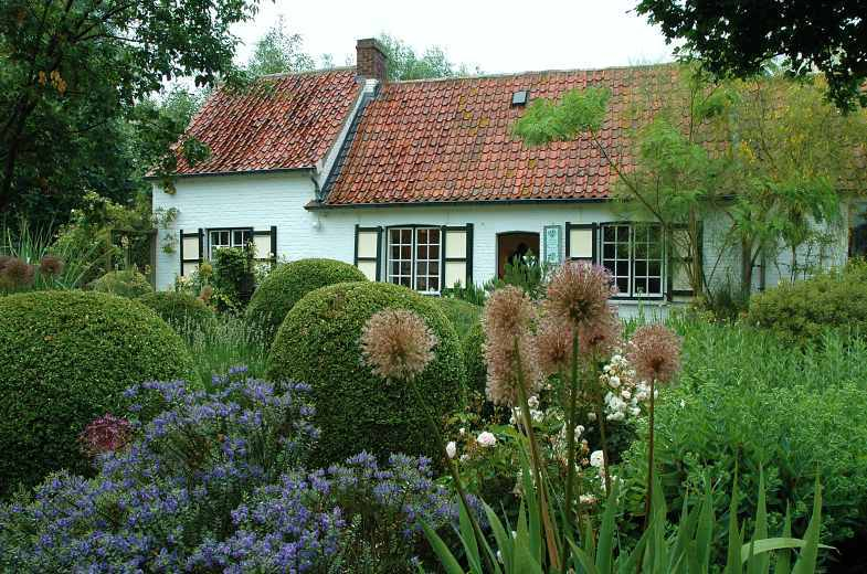 De Roobaard 6
