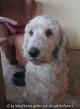 Snoopy nachher.jpg