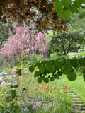 Süd Katsura bis Tamariske