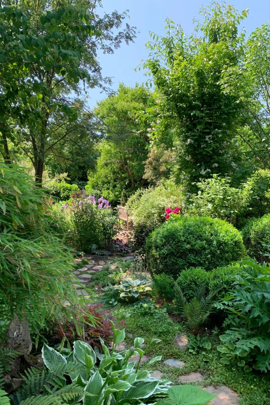 Schattengarten Blick nach Südwesten
