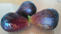 Negronne Feigen