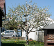 Frühling 2018