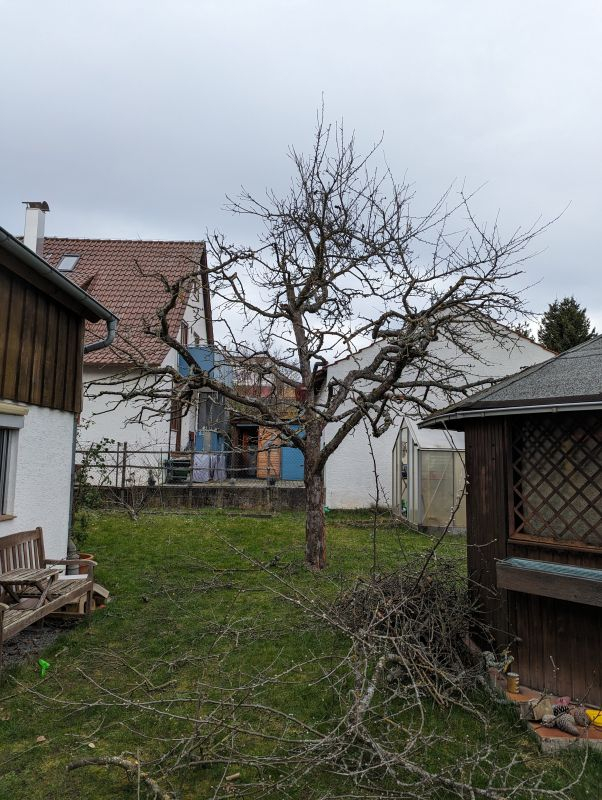 zweiter Schnitttag 09.03.2024