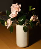 Camellia Hagoromo Vase