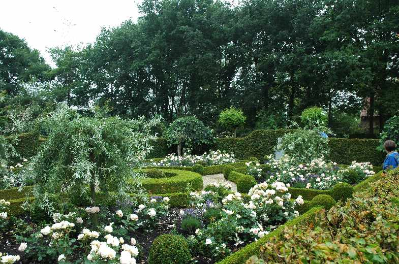 Loverlij Tuin 66