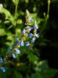 P8130307