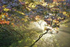 acer_strahlen2