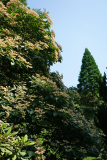 clero_tower