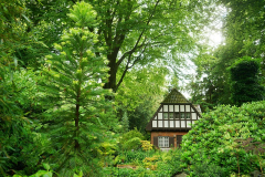 gruene_hoelle