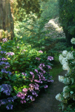 hortipassage