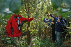 jardinjungle