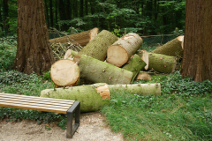 mach_mal_weg