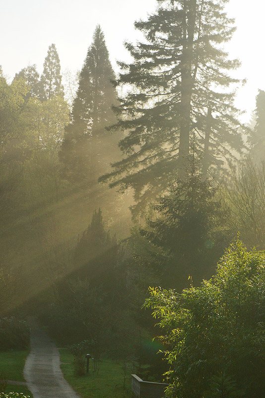 morgensonne