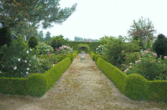 Loverlij Tuin 84