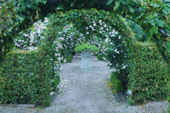 Loverlij Tuin 85