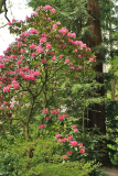 rhodos1