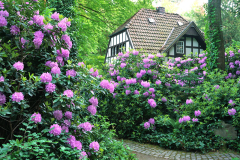 rhodos2