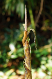 schnecke_aufzug